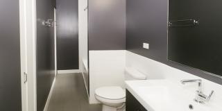 Paramour Gallery 5