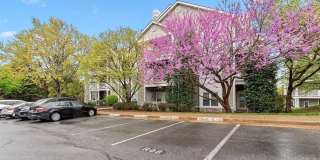 1708 LAKE SHORE CREST Drive Gallery 2