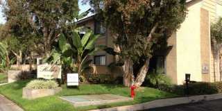 9450 Holder Street Gallery 1