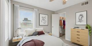 Renew Midland Gallery 4