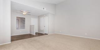 Mountain Springs Gallery 14