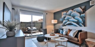 The Harlow Gallery 9