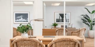 Coconut Palm Club Gallery 24