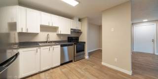 Village at Sota Gallery 37