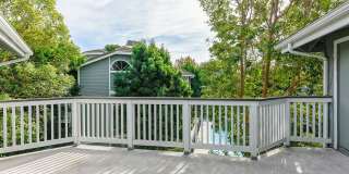 Remodeled 3 Bed Penthouse Condo Gallery 18