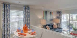 Cameron South Park Gallery 5