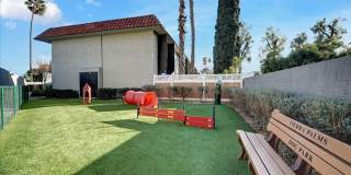 Tierra Palms Gallery 75