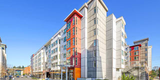 The Enclave at Northgate Gallery 1