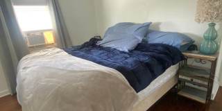 3 Bedroom/ 1 Bathroom House for Rent in Brookline! Gallery 22