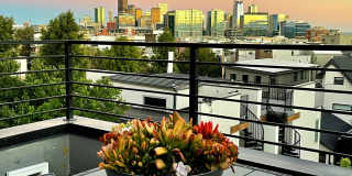 4-Story 2BD, 2.5BA LoHi Townhome with Rooftop Deck Gallery 29