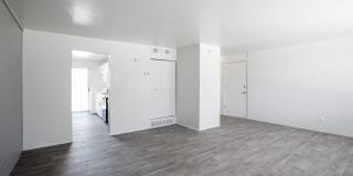 Icon on Stella Gallery 5