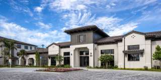 Las Palmas Gallery 2