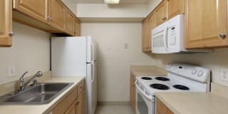 AVA Van Ness Gallery 9