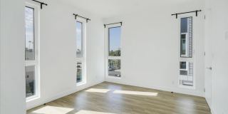 Saturn Street Gallery 15