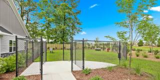 River Rock at Blume Road - 55+ Apartment Homes Gallery 12