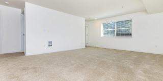 Delano Gallery 36