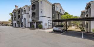 Mandarina Apartment Homes Gallery 97