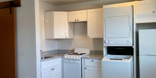 The Tower Bachelor Gallery 1