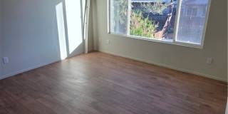 14279 Wildcat Gallery 11