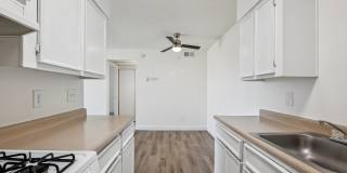 San Rivello Gallery 8