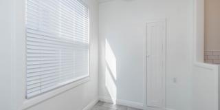226 Athol Avenue Gallery 12