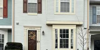 8562 BLACK STAR Circle Gallery 1