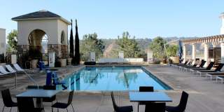 Torrey Gardens Gallery 13