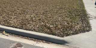 2703 Avenue G unit: A & B Gallery 1