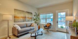 Alder Walk Gallery 17