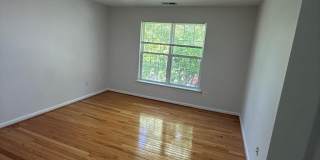 911 LAKE FRONT Drive Gallery 10