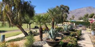 61016 Desert Rose Drive Gallery 14