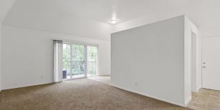 The Pines at SoBro Gallery 21