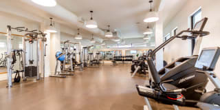 Falls Green Gallery 18