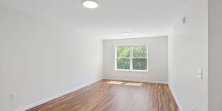 Discover Your New 1‑Bedroom Sanctuary Gallery 8