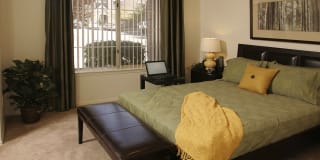 Pinnacle Highland Apartments Gallery 10