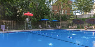 The Oliver in Alexandria Gallery 4