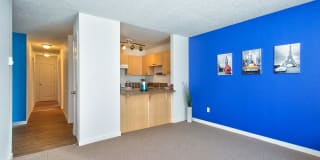 Parc Central Gallery 26