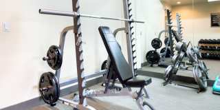 Greenhouse Gallery 12