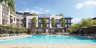 Lorien Ivy Apartments Gallery 37