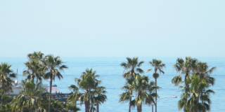 2Bd 2Ba Spacious Newport Bay Front Condo Gallery 23