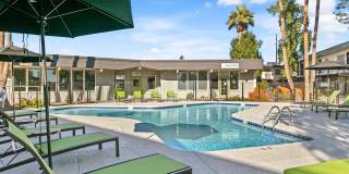 SITE Scottsdale Gallery 6