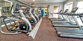 TGM Andover Park Gallery 19