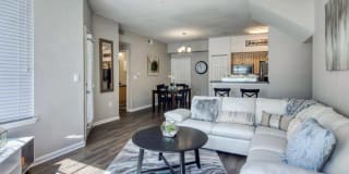 RiverTree Gallery 13