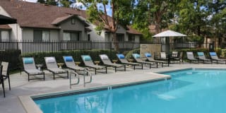 The Arbors Gallery 26