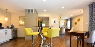 The Element Gallery 37