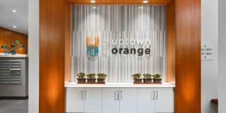 AMLI Uptown Orange Gallery 24