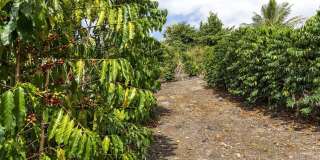 Luxurious Oceanview Getaway w/Private Pool & Spa and Serene Lanai - Piko Nani Gallery 61