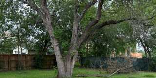 286 Brandywine Gallery 13