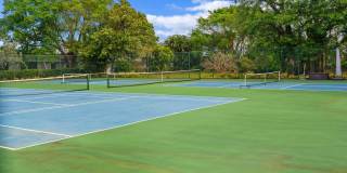 1542 Jupiter Cove Drive Gallery 46