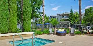 Broadleaf Apartments Gallery 14